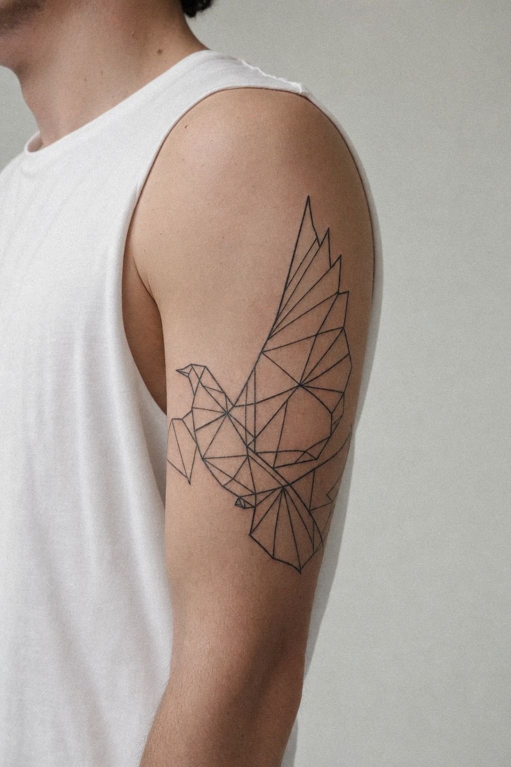 Geometric Frame, Soft Bird