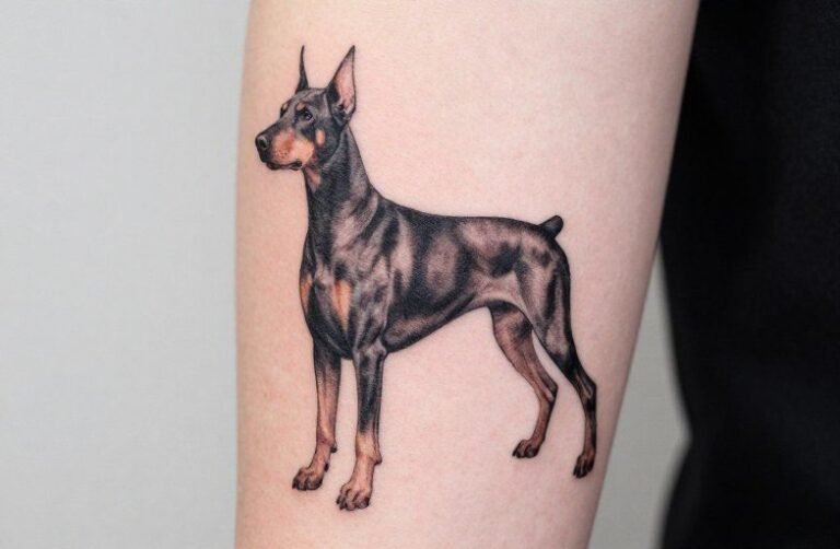 Doberman Tattoo Meaning: Loyalty, Protection & Power