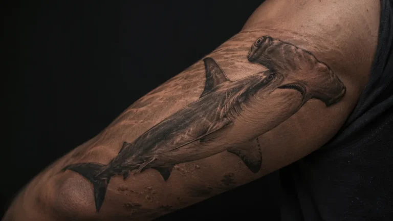 Hammer Shark Tattoo tattoo
