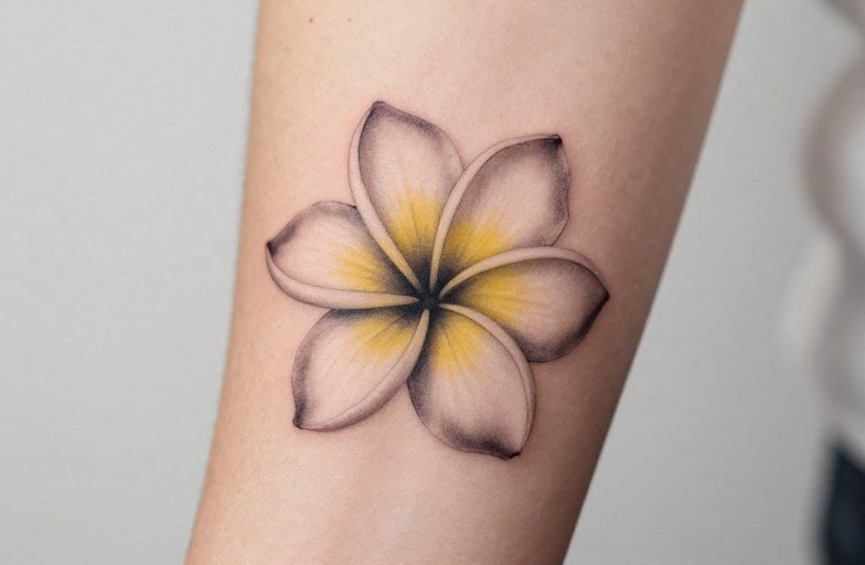 Frangipani Tattoo Meaning: Symbolism, Culture & Design