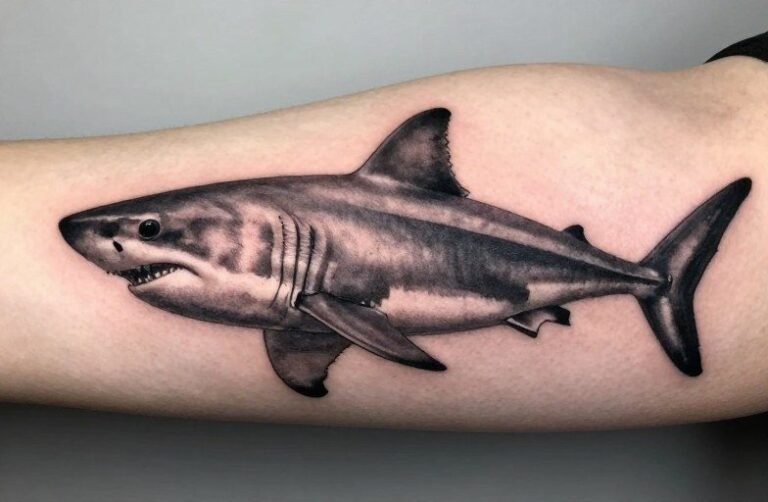 Great White Shark Tattoo Meaning: Power, Fear, and Respect