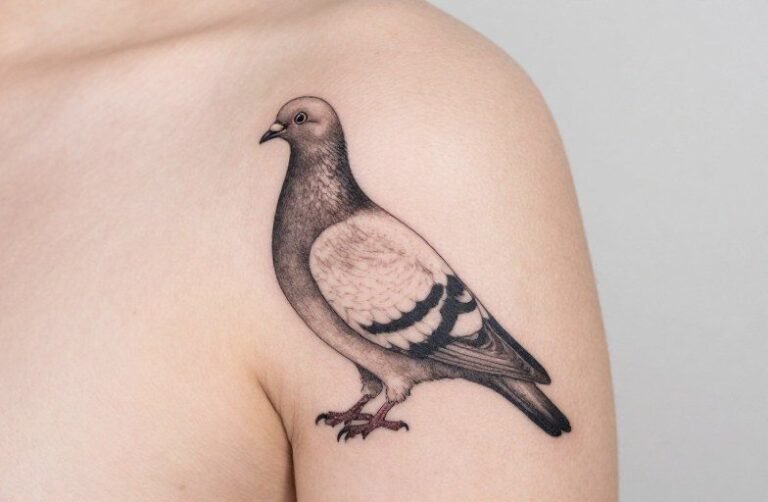 Pigeon Tattoo Meaning: Peace, Home, and Urban Survival