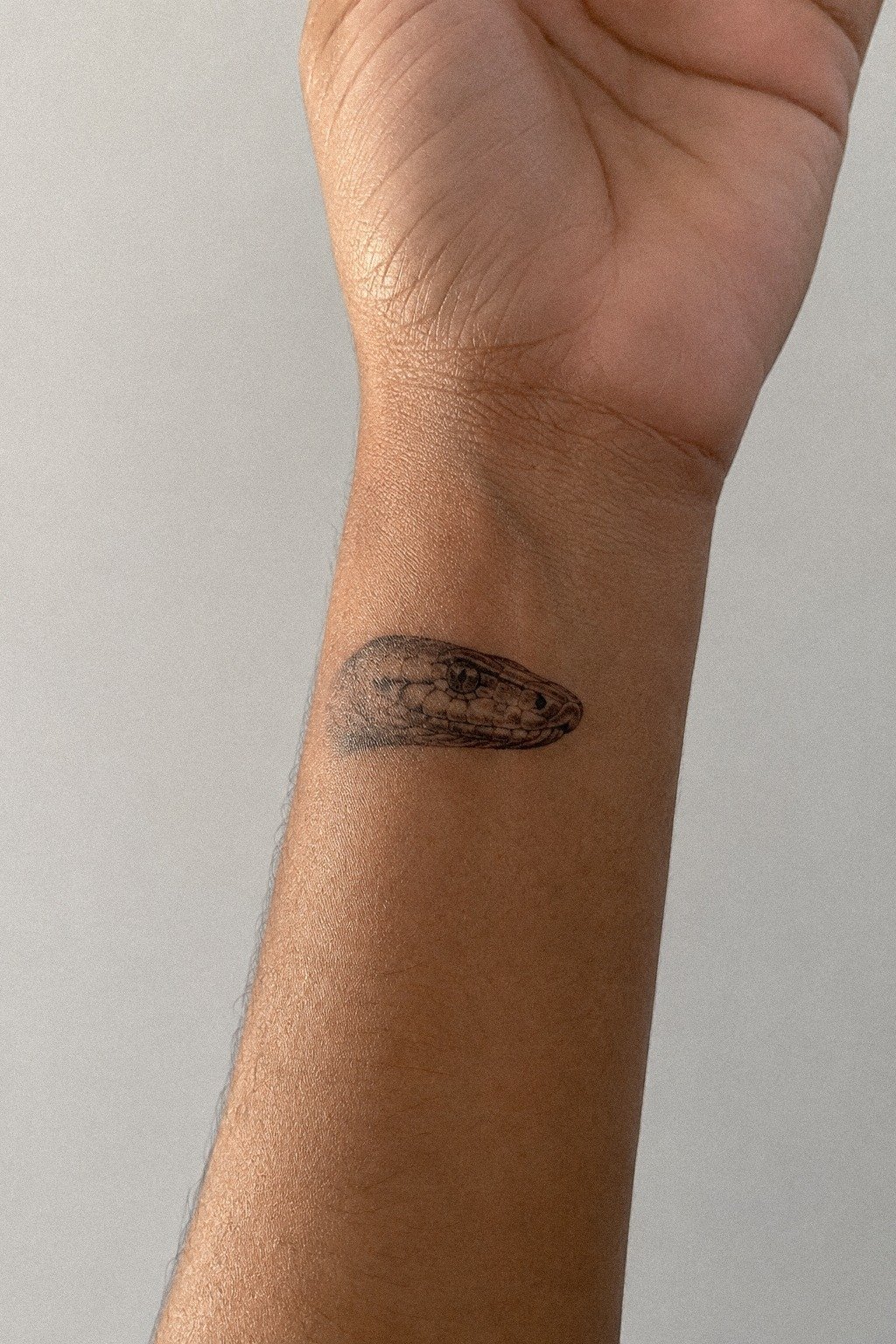Compared Realistic Snake Head Tattoo References