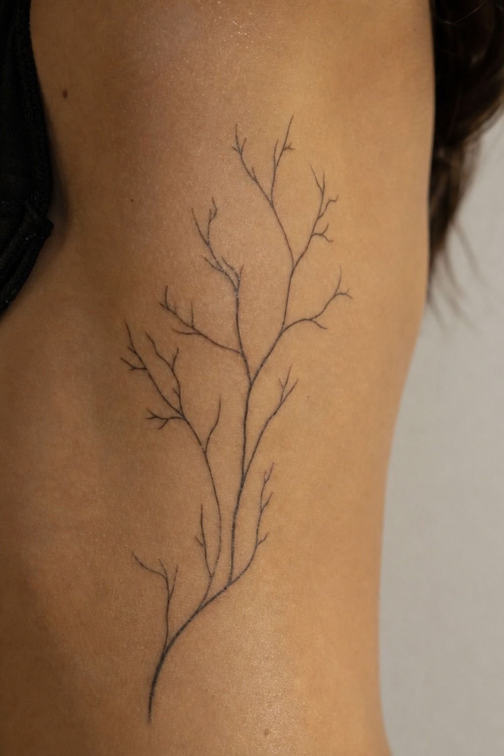 Pick Fine-Line Branches for a Minimalist Trunk