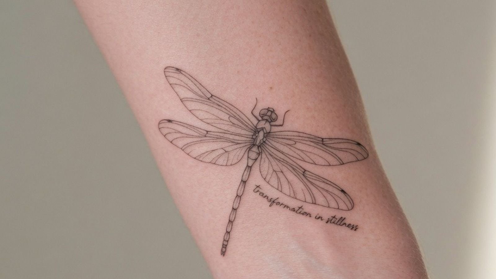 How to Design a Dragonfly Tattoo That Heals Clean – 13 Ideas