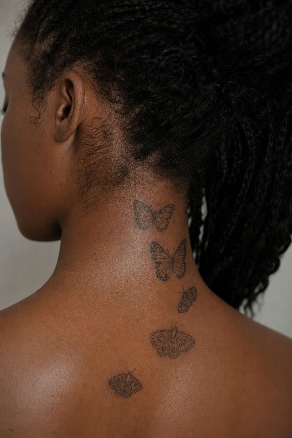 Butterflies and Moths Resting on the Nape