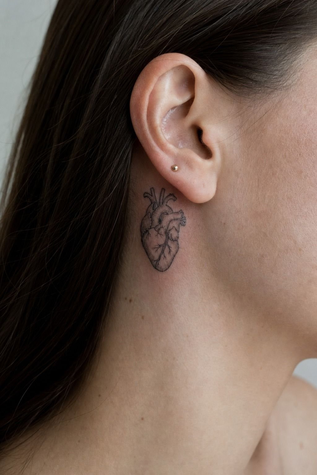 Anatomical Heart With Fine Line Detail