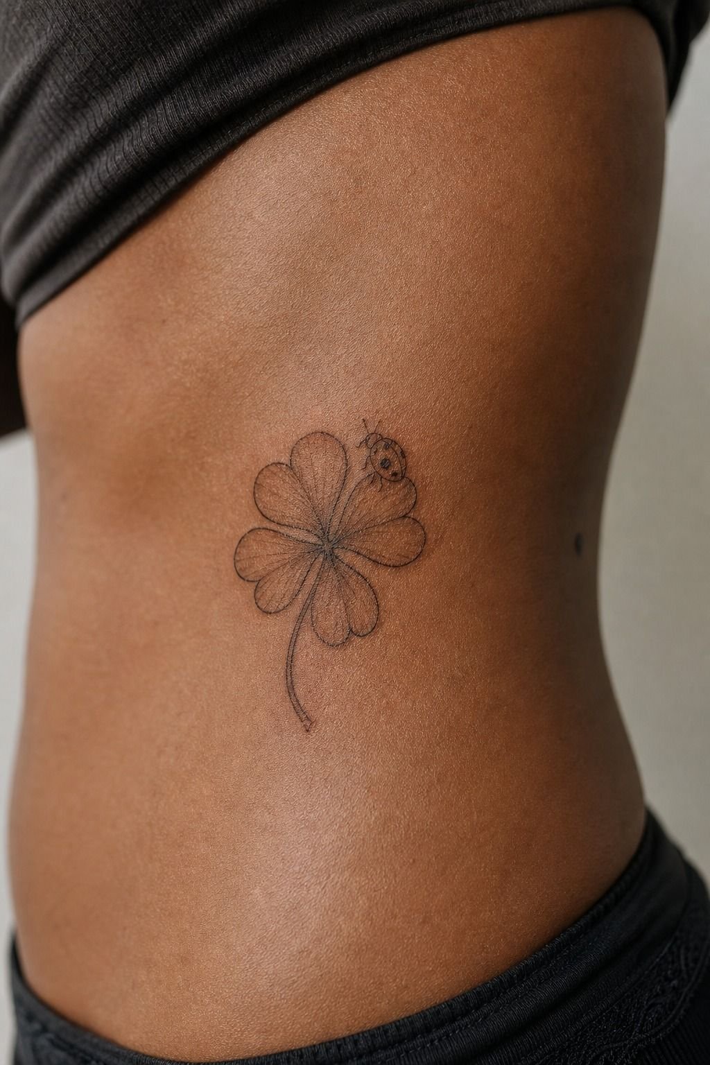 Ladybug and Four-Leaf Clover Design