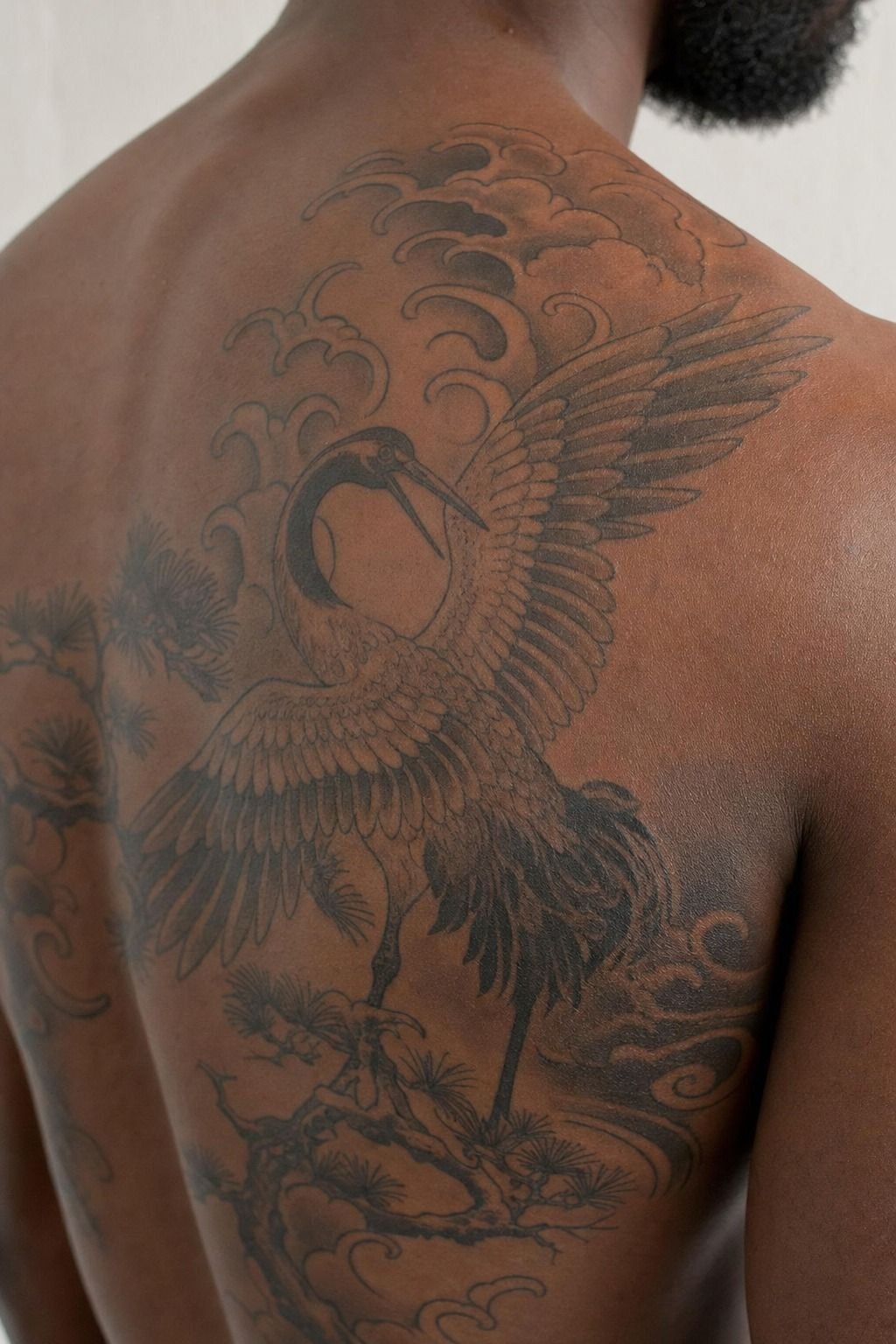Let a Japanese Crane Cross the Shoulder Blade