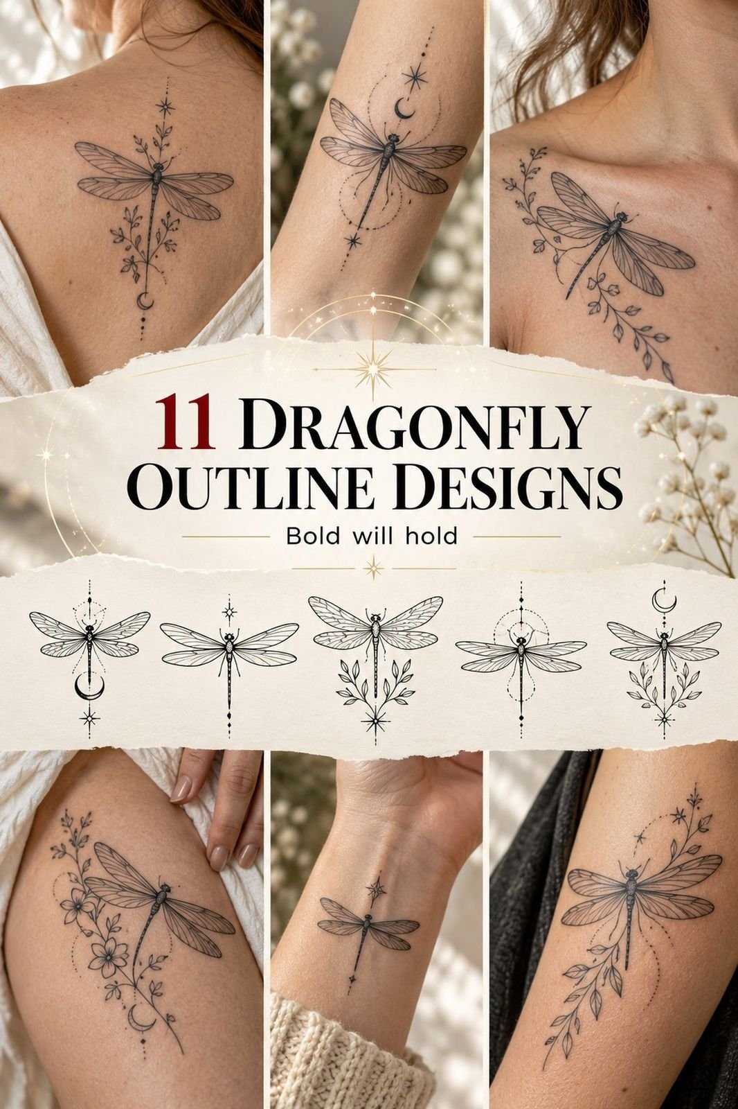 How to Create a Dragonfly Outline Under $150 - 11 Ideas