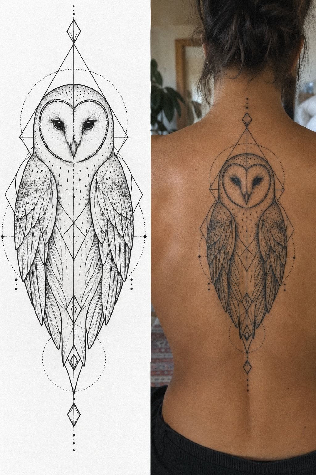 Barn Owl Tattoo: Geometry Or Flow?