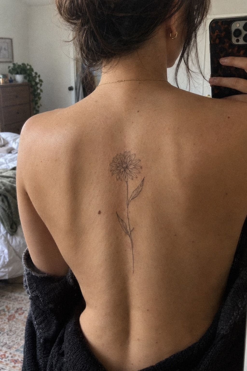 Keep September Aster Petals Crisp Through Healing