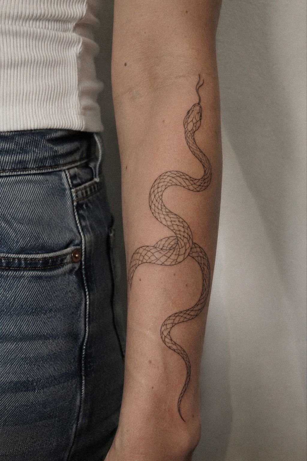 Why a Fierce Snake Works on the Forearm