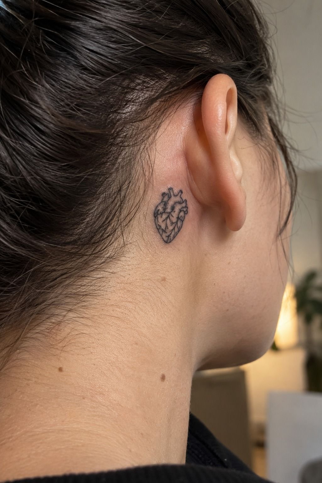 Choose Delicate Anatomical Heart Details